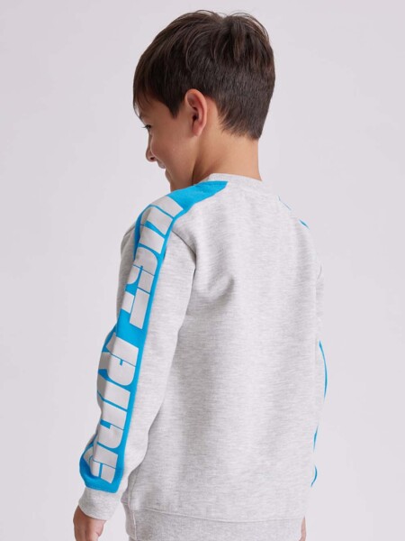 Buzo deportivo Gris Melange