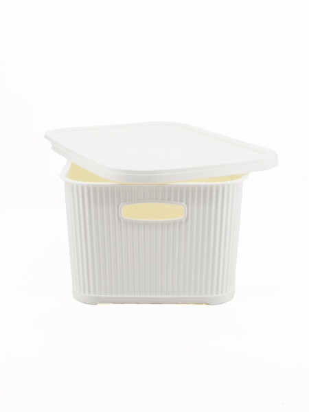 CAJA ORGANIZADORA CON TAPA BLANCO