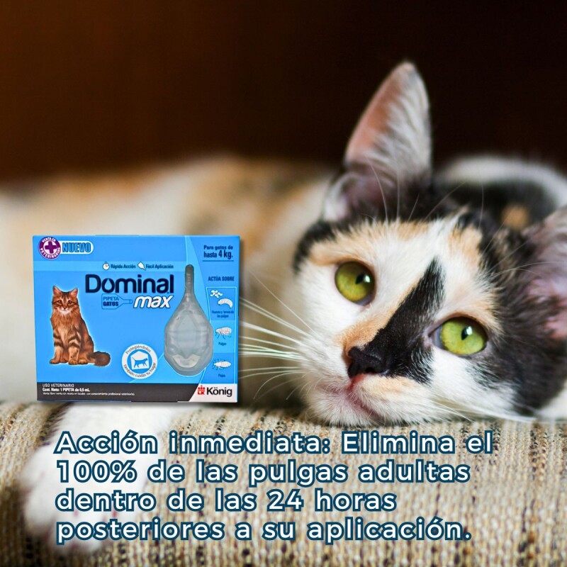 PIPETA ANTIPULGAS Y ANTIGARRAPATAS DOMINAL MAX GATOS HASTA 4KG PIPETA ANTIPULGAS Y ANTIGARRAPATAS DOMINAL MAX GATOS HASTA 4KG