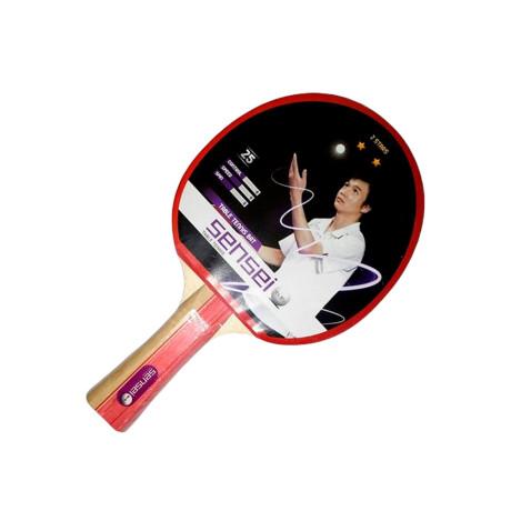 PALETA DE PING PONG SENSEI 2 STARS 000