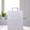 Bolsa lisa acuario 26x16x30 cm BLANCO