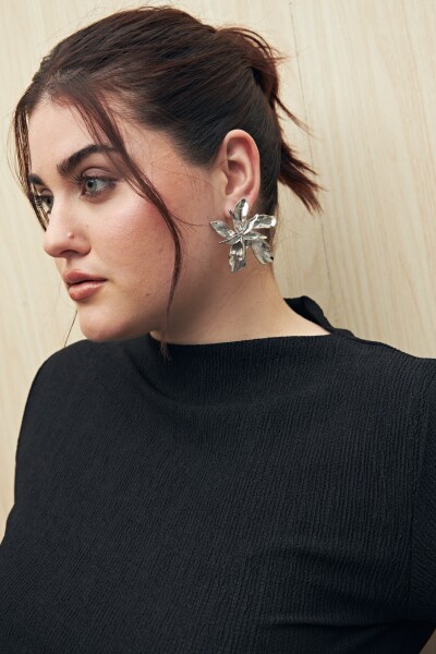 AROS LAPPE Plateado