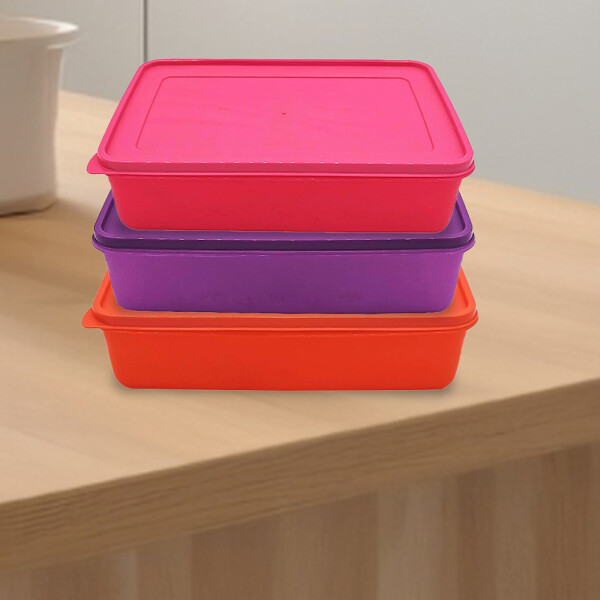 RECIPIENTE RECTANGULAR 2 RECIPIENTE RECTANGULAR 2