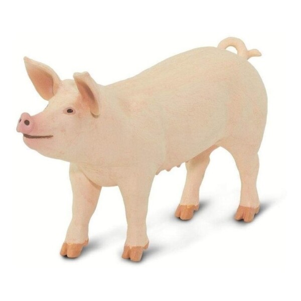 Safari Pig Cerdo Lindo Animal Chancho Figura Coleccion Safari Pig Cerdo Lindo Animal Chancho Figura Coleccion