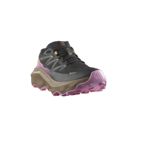 Champion Salomon Ultra Flow 2 Trail Black