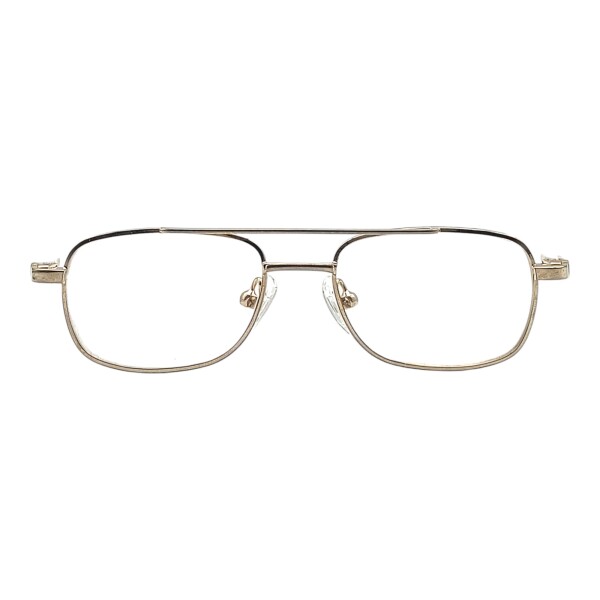 DA001639 doradouniforme