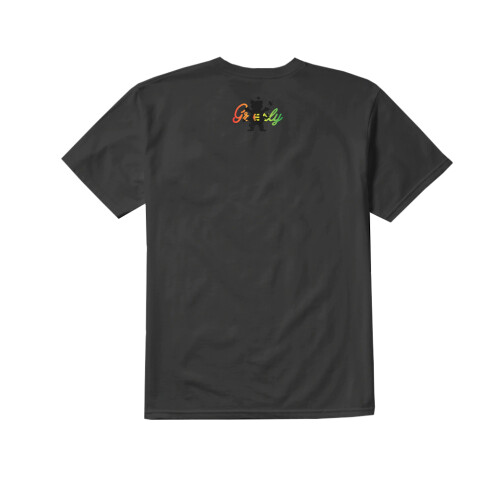 REMERA ETNIES GRIZZLY ECORP Black