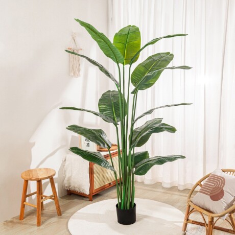 Planta Palmera Artificial Hoja Redonda Planta Palmera Artificial Hoja Redonda