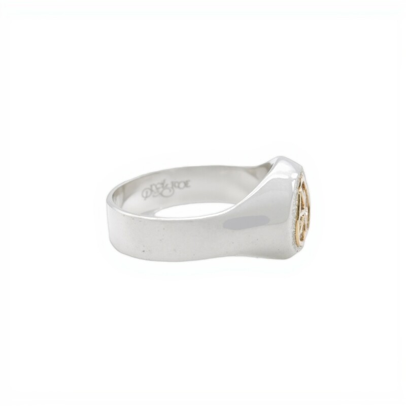 Anillo Profesión Ingeniero agrónomo-Plata y Oro-Sin Piedra-AP5009 sinpiedra