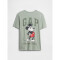 V-DISLOGO SPRING SS LIC GR SP DIS FAM ICEBURG