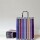 Pack x 20 - bolsa fantasia 22x10x30 cm. LATIN