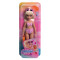 Muñeca Barbie Dream Besties Barbie