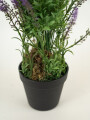 Planta Lavender 48cm Color Unico