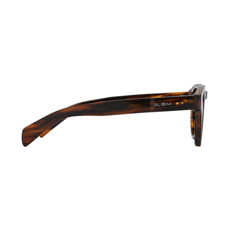 Lentes de Sol Bloom polarizados y protección UV PL703 C4