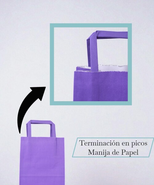 Bolsa lisa acuario 14x08x20 cm VIOLETA