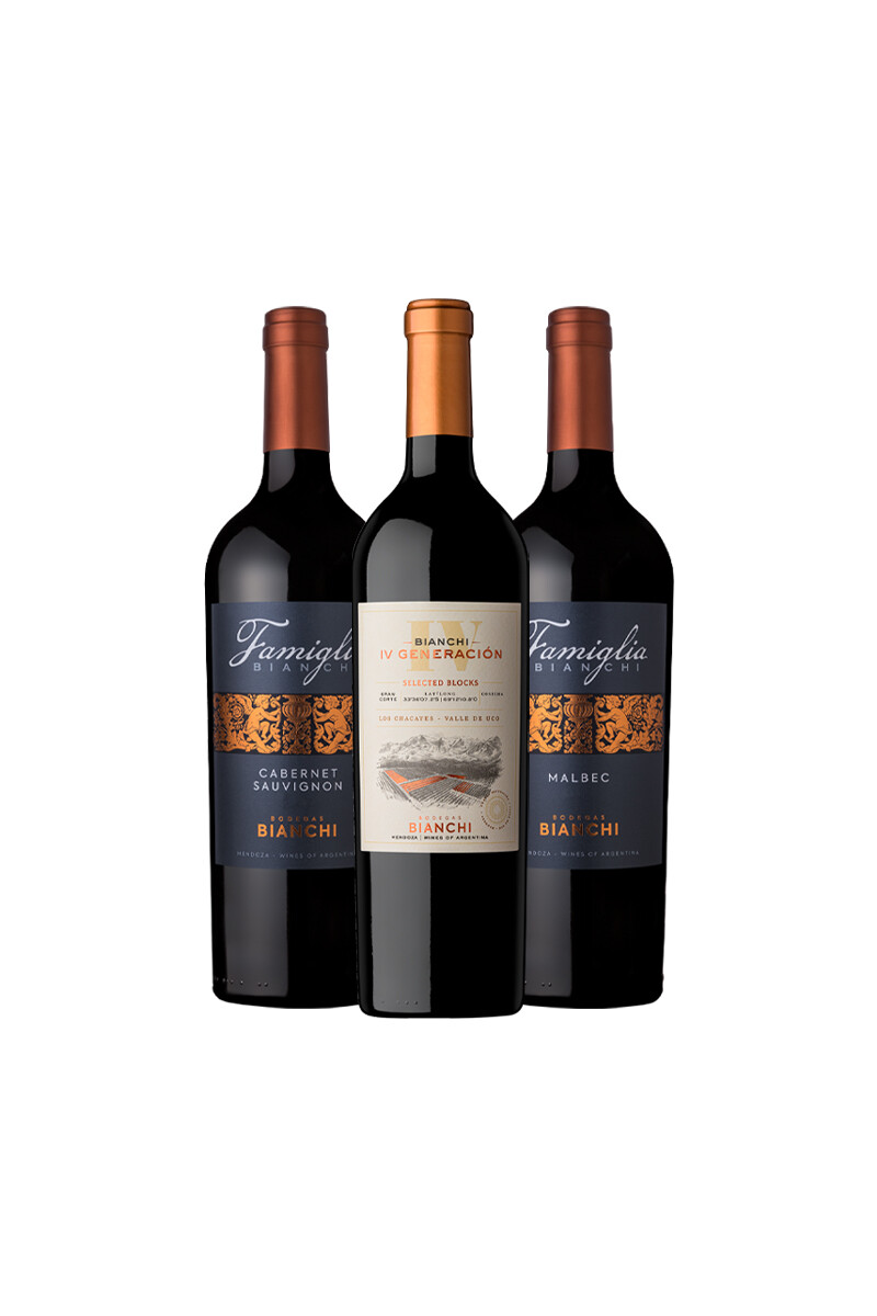 Pack Bacán Selección Vendimia x3 vinos Bodega Bianchi 