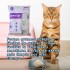 ARENA SANITARIA AGLOMERANTE CHARM CAT PREMIUM BAJO POLVO SIN OLORES PACK 8 KG LAVANDA