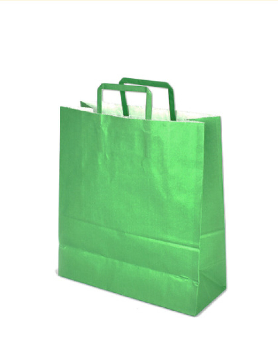 Bolsa lisa acuario 30x12x32 cm - VERDE 