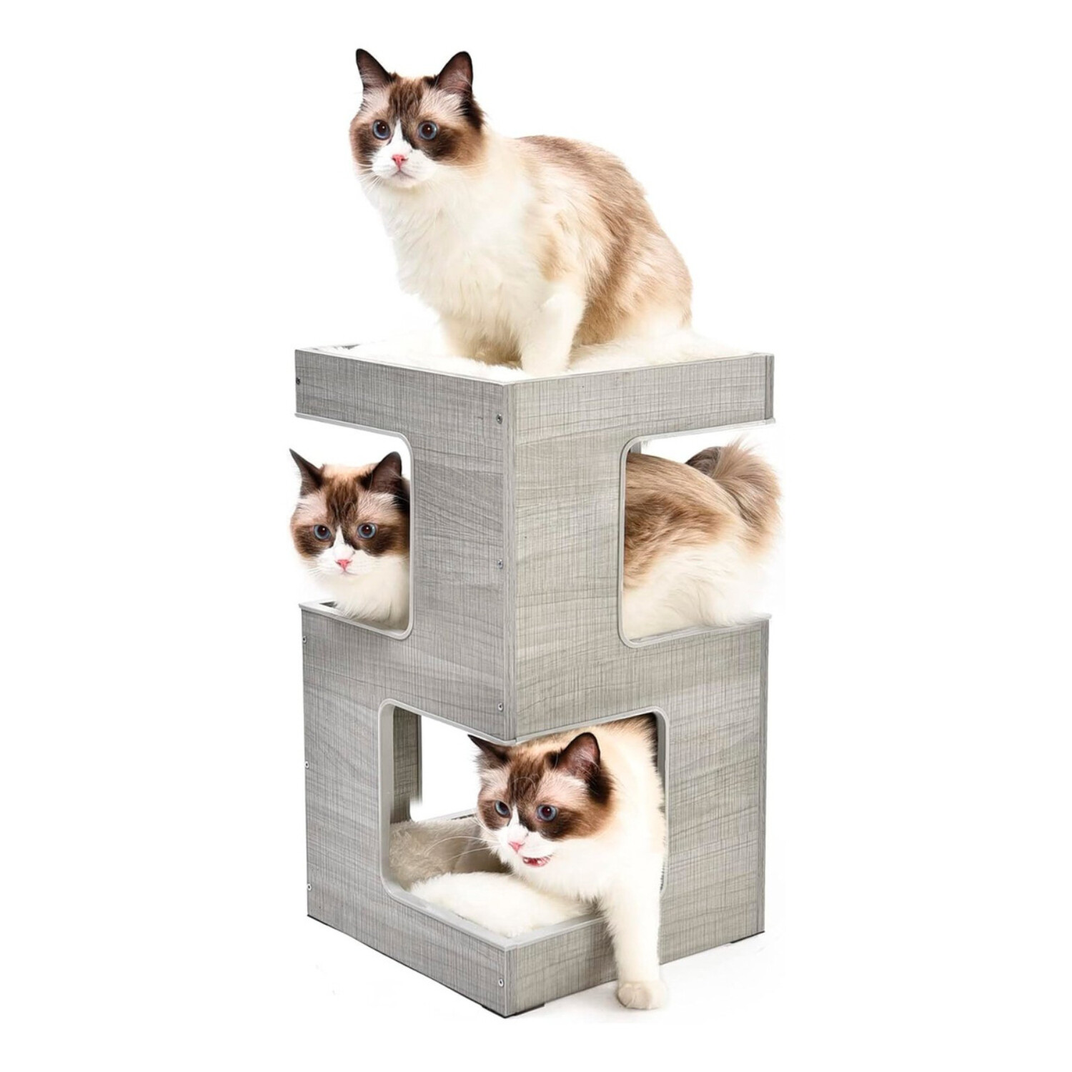 Almohadones de gatos shop