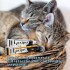 LAXIPET LAXANTE SUAVE PALATABLE PARA PERROS Y GATOS 60 G. LAXIPET LAXANTE SUAVE PALATABLE PARA PERROS Y GATOS 60 G.