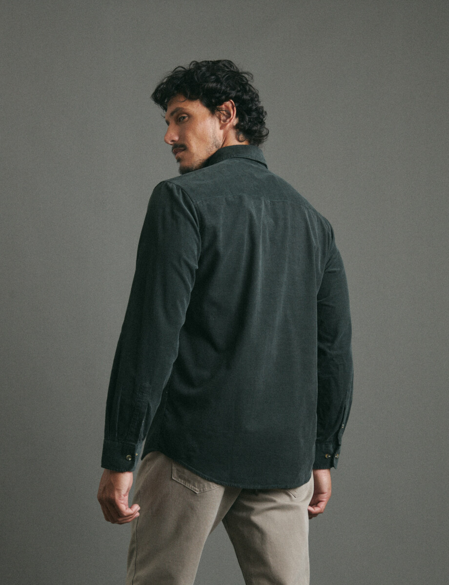 012613 CAMISA HARRY Verde
