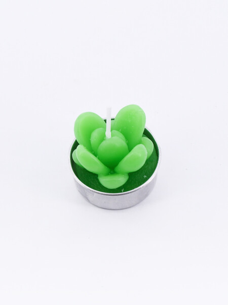 SUCULENTA VELA CACTUS VERDE