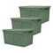 Set x3 Caja simil ratán 15 lts 39x26x19 cm VERDE