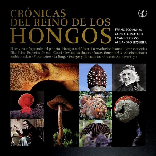 Cronicas Del Reino De Los Hongos Cronicas Del Reino De Los Hongos