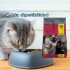 THREE CATS CASTRADOS 15 KILOS