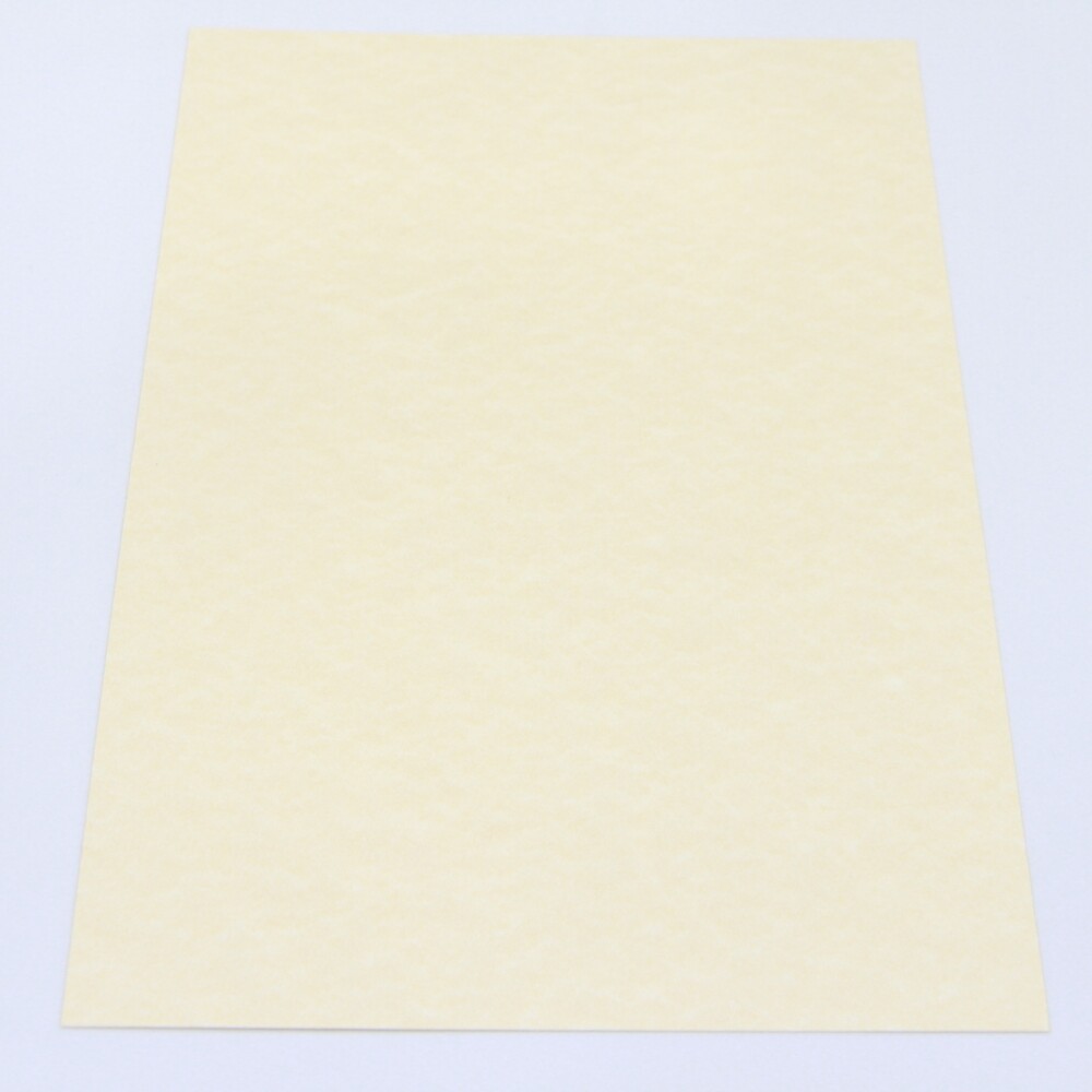 CARTULINA A4 TELADA 200 GRS COLOR MARINA BEIGE