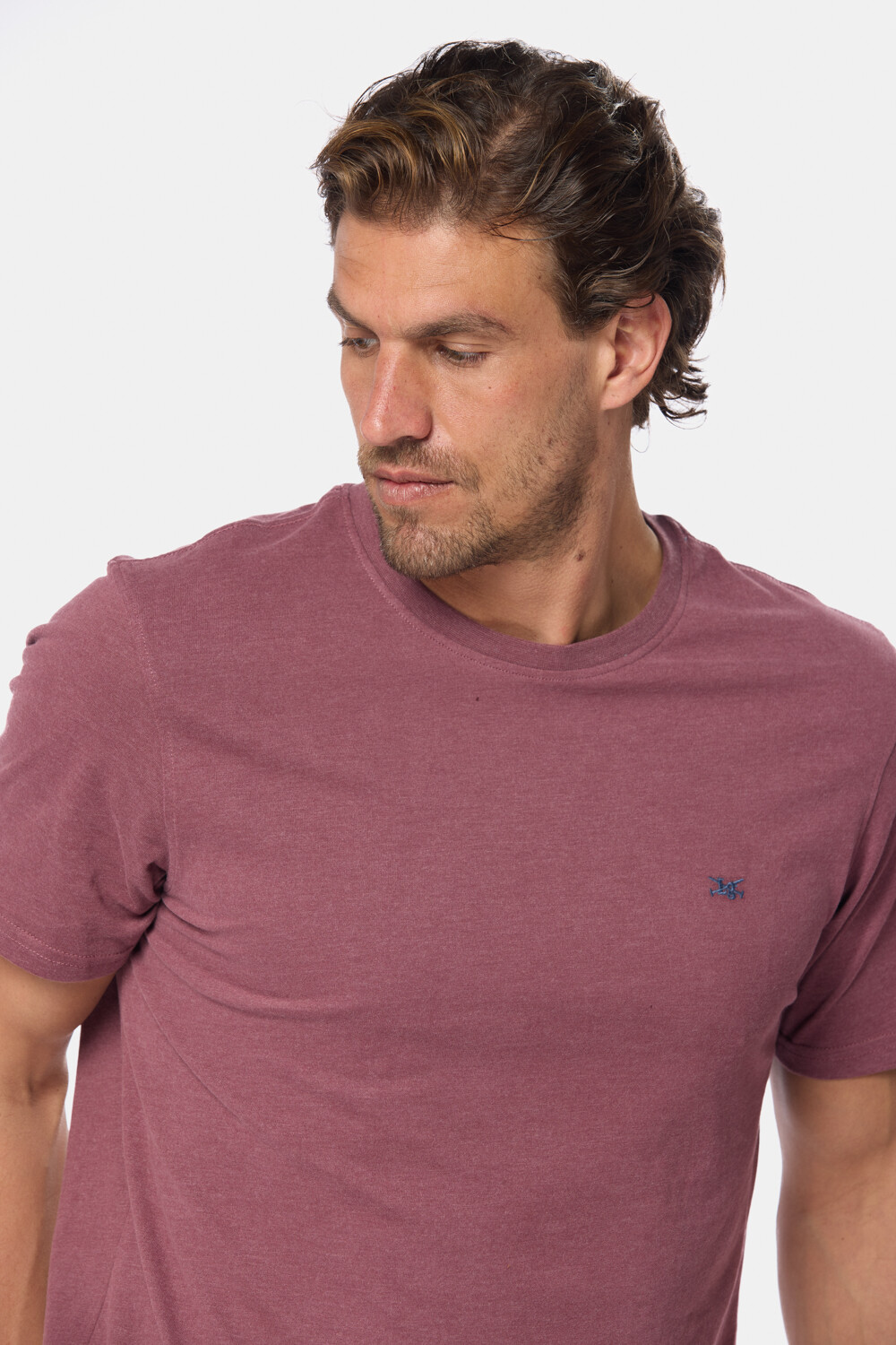 REMERA LISA Bordo