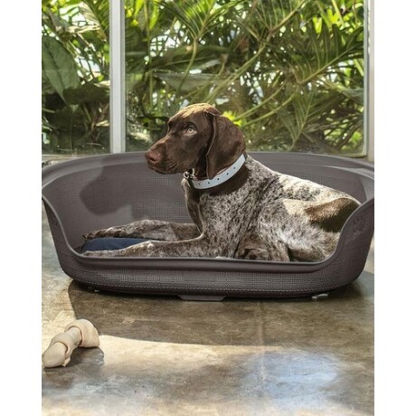 Cama para Mascota Perro o Gato con Colchón Rimax Mocca
