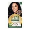 Tinta Soft Color 10 Negro