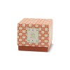 TULIP Vela Tulip De Vidrio 5.5oz Paddywax - Cactus Flower