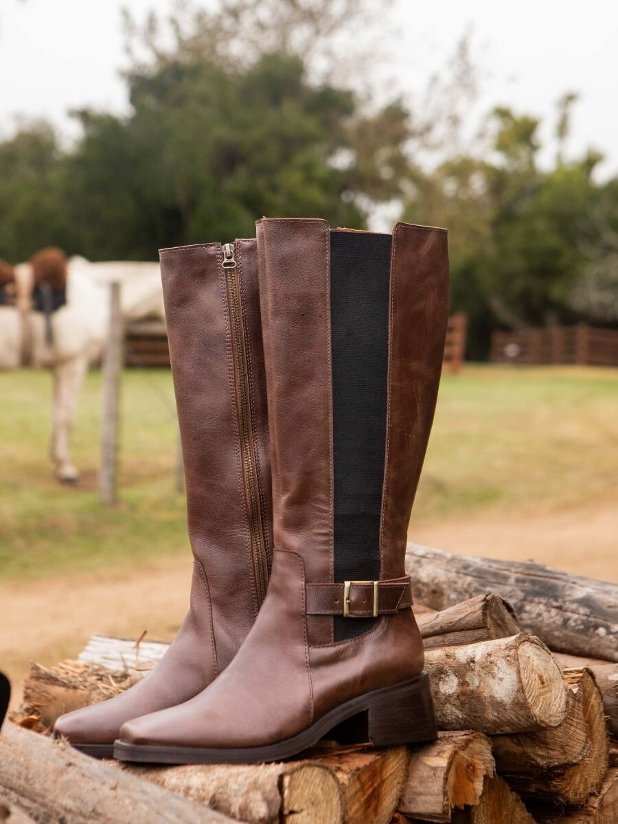 Aplomo chocolate